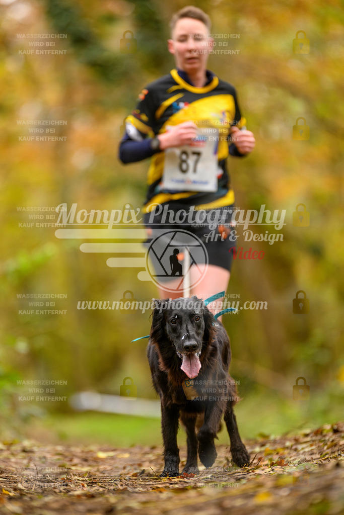 MompixPhotography_Bischwiller24_SA_Canicross-172 | PayLife