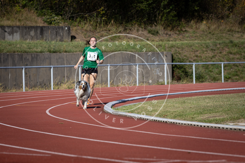 Pfotenfotografie_DV3A9336 | Hundefotografie, Tierfotograf, Pfotenfotografie, Fotoshooting Hund, Hunde Portrait, Hundesport, Hundeportraits, Heideshooting, Hunde, Sportfotograf, Hundefotograf, Turnierhundsport, THS,  - Realisiert mit Pictrs.com