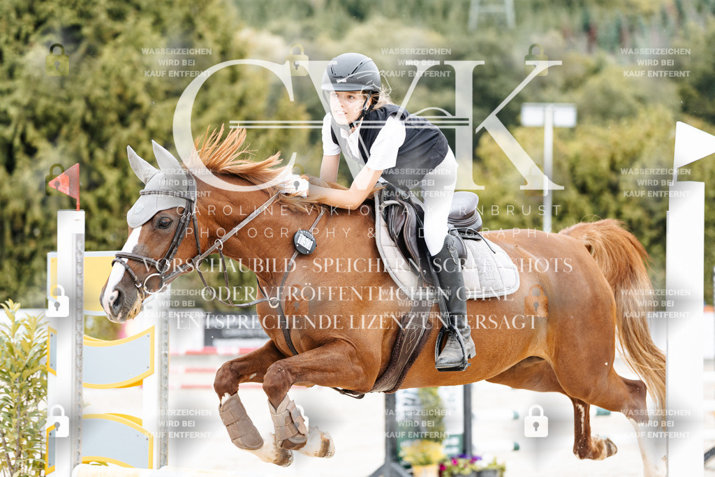 CK908438 | Turnierfotografie Pferdefotografie Trier Rheinland-Pfalz Pferdesport Reitsport Tierfotografie Sportfotografie Pferdevideo Pferdevideografie Equestrianvideography equestrianphotography  - Realisiert mit Pictrs.com