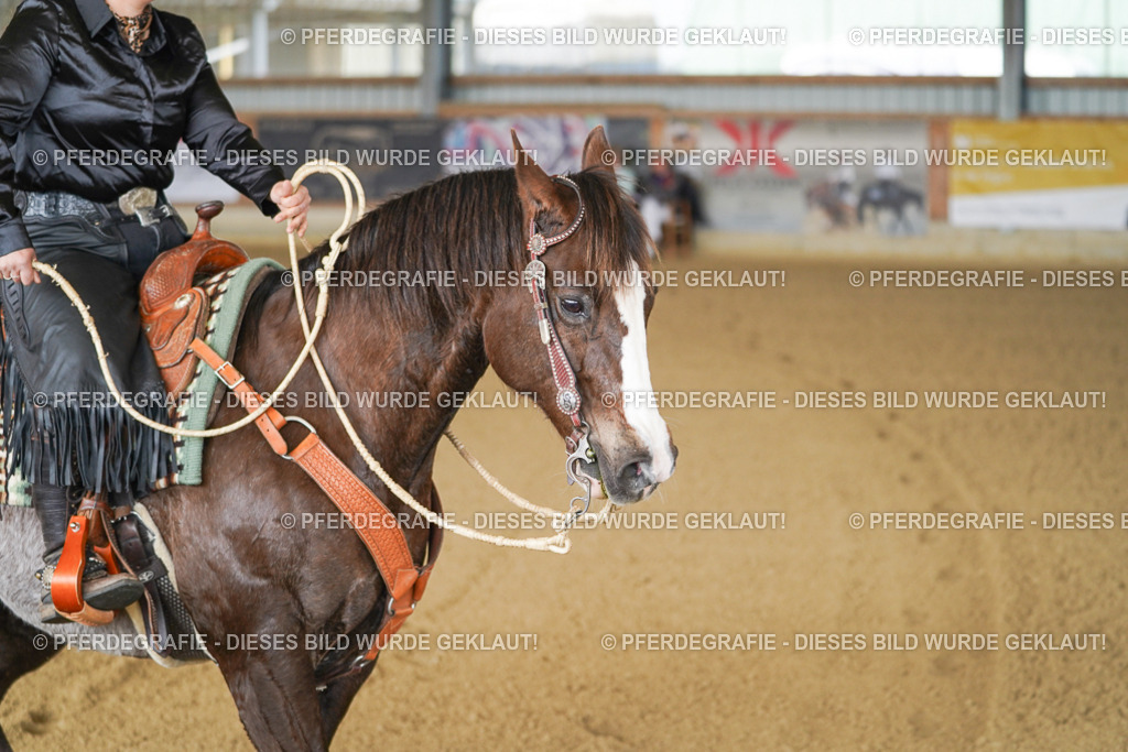 DSC02421 | Pferdegrafie