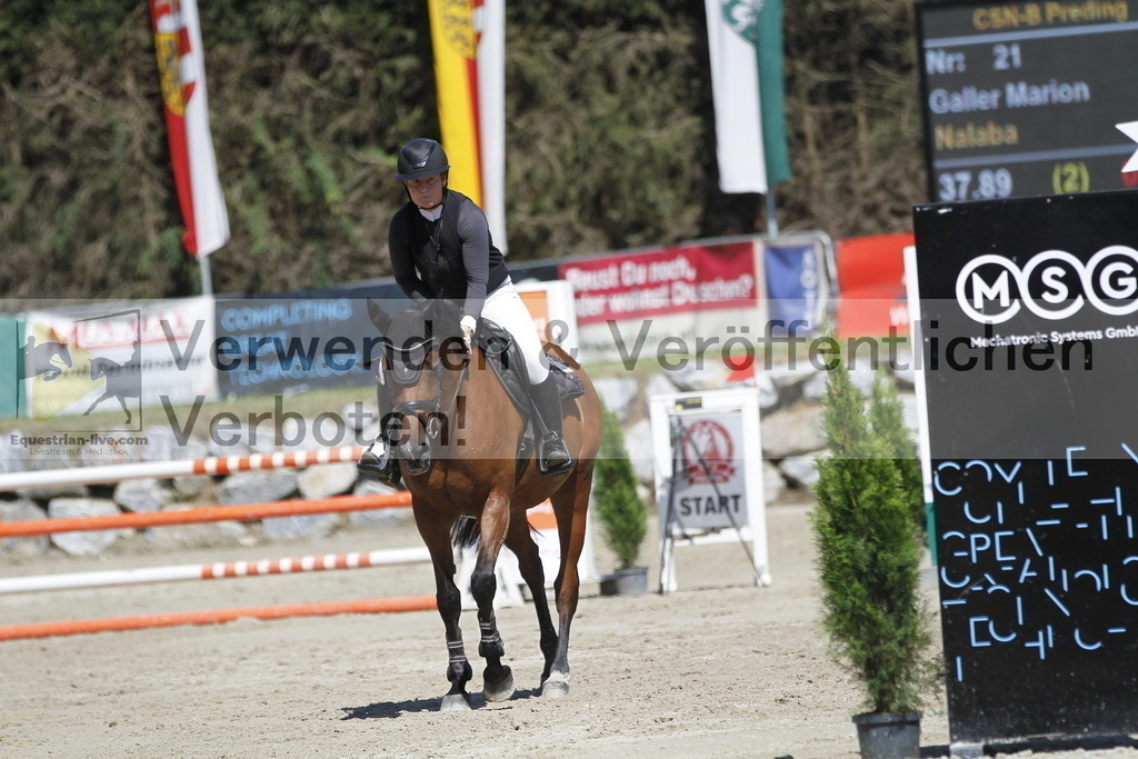 _MG_4963 | equestrian-live-com