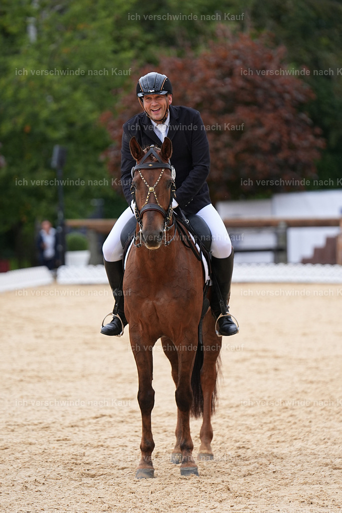 3-239-Dressur M_-Marixx-1938 | working equitationturnier fotograf videograf stoibphotography marixx film working equitation deutschland reitsport turnierfotografie eventfotografie equestrian events