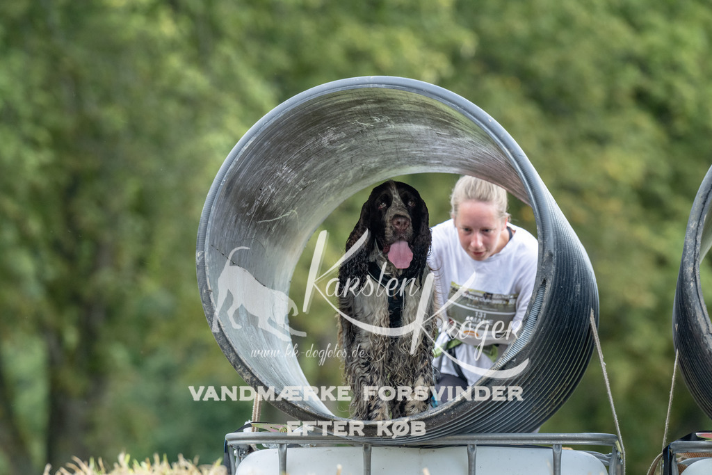1021_ZZ91905 | kk-dogfotos