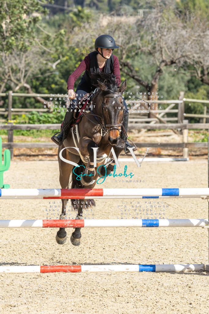 IMG_4034 | s-jay-photography - Realisiert mit Pictrs.com