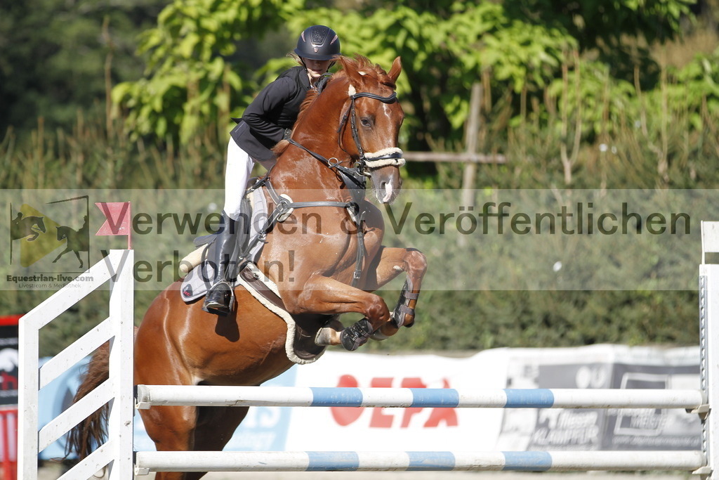 _MG_2428 | equestrian-live-com