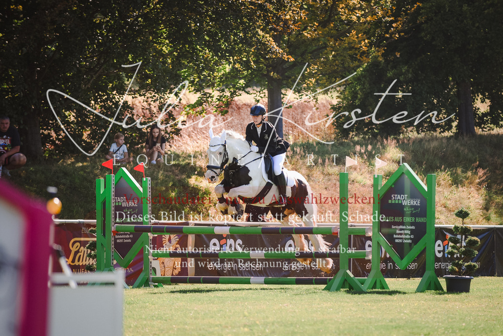 DSC_2594 | Pferde- und Turnierfotografie in Westsachsen. Pferdeportraits, Auftragszeichnungen und intuitive Kunst.