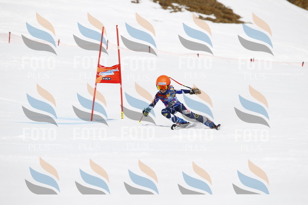 _U3G6822 | holidayphoto