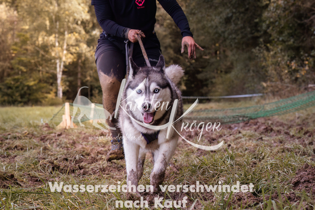 1236_ZZ90456 | kk-dogfotos
