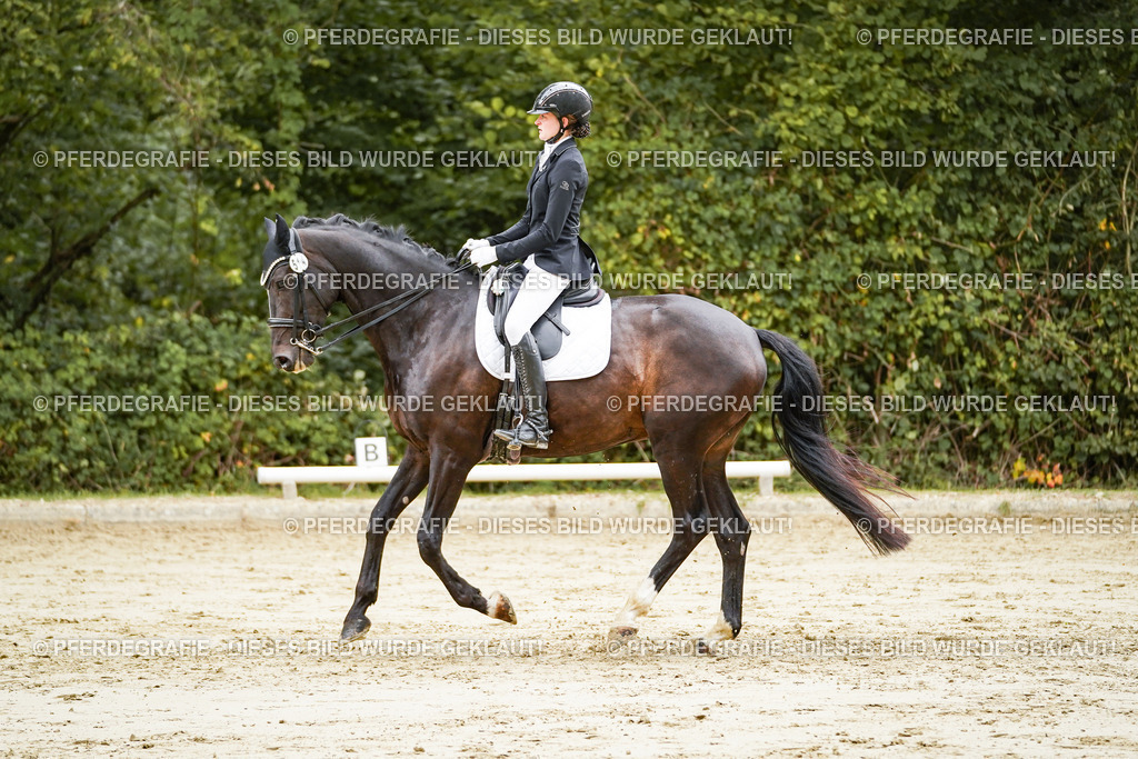 DSC04019 | Pferdegrafie