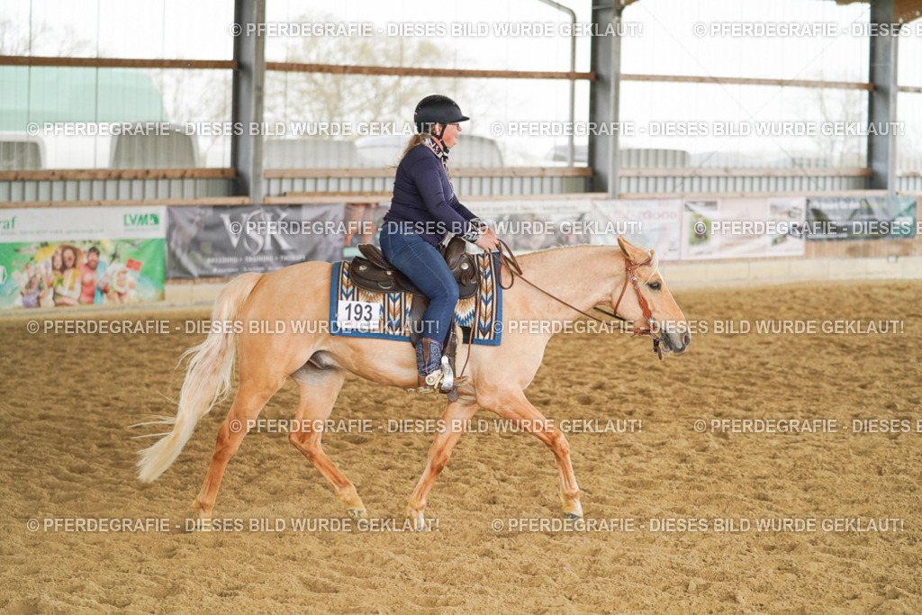 DSC06398 | Pferdegrafie