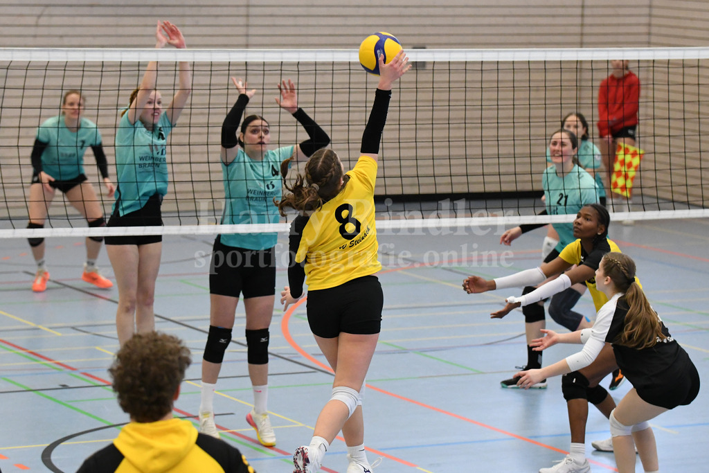 TSV Deggendorf Damen  : FC Ruderting | TSV Deggendorf Damen Volleyball - Realisiert mit Pictrs.com