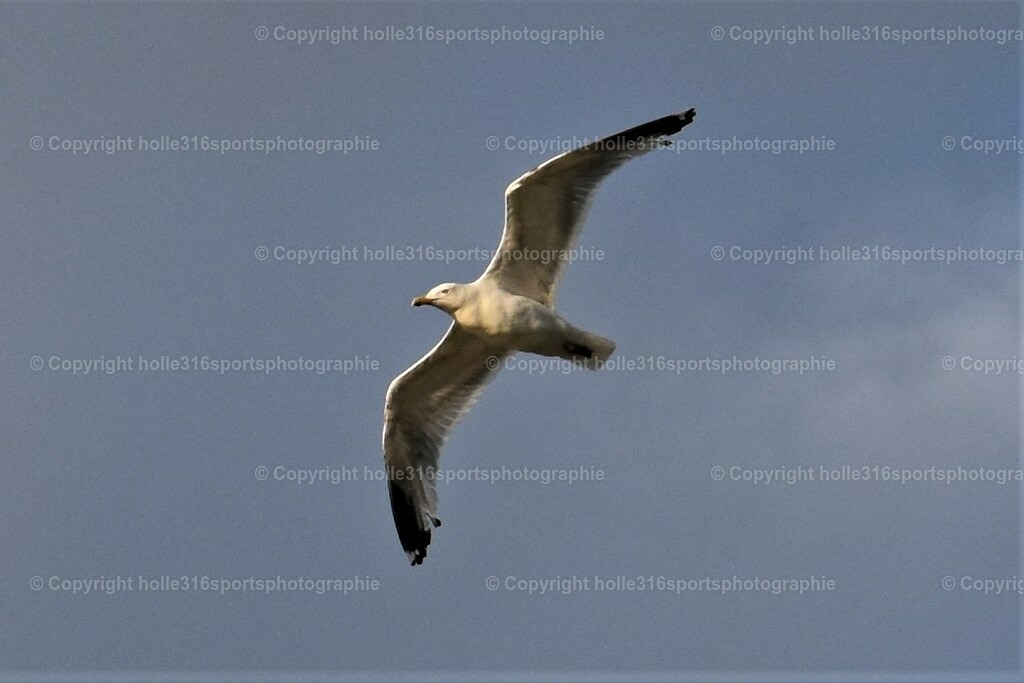 DSC_0202 (2) | Sportfotografie , Motorsport, Motoross, Reitsport, Mointainbike, Enduro,
Landschaft , Outdoor, Eventfotografie, Landschaft, Bilder online bestellen - Realisiert mit Pictrs.com