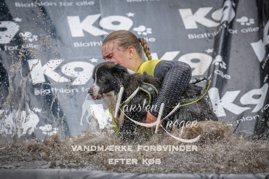 1125_ZZ92731 | kk-dogfotos