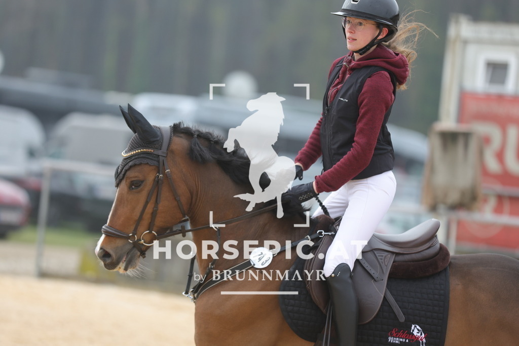 0P6A8514 | Willkommen bei Brunnmayr - Design & Fotografie – Ihrem Spezialisten für Reitturniere und Pferdeveranstaltungen in Oberösterreich, Salzburg und Bayern! Seit über 17 Jahren sind wir leidenschaftlich dabei.