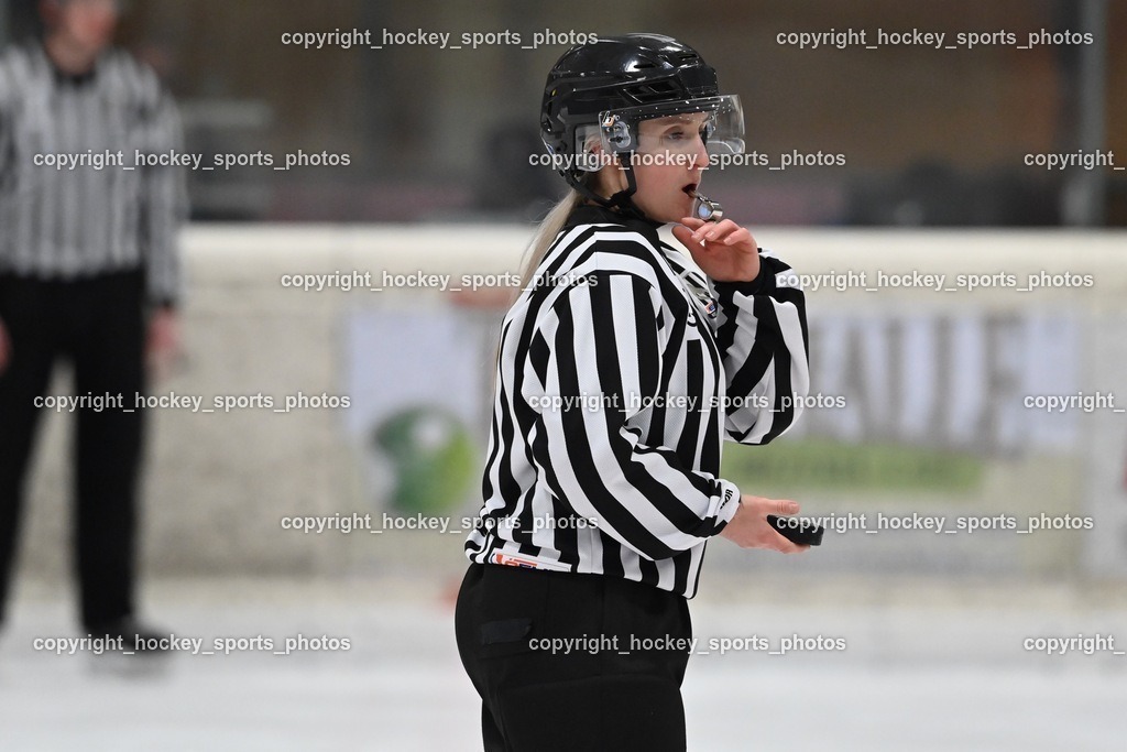 BST_4277 | hockey sports photos, Pressefotos, Sportfotos, hockey247, win 2day icehockeyleague, Handball Austria, Floorball Austria, ÖVV, Kärntner Eishockeyverband, KEHV, KFV, Kärntner Fussballverband, Österreichischer Volleyballverband, Alps Hockey League, ÖFB, 