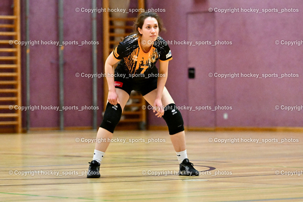 ASKÖ Volley Eagles Villach vs. VC Hausmannstätten | #7 LUKSIC Vanja ASKÖ Volley Eagles Villach, ASKÖ Volley Eagles Villach vs. VC Hausmannstätten, ASKÖ Volley Eagles Villach vs. VC Hausmannstätten am 01.02.2025 in Villach (Ballspielhalle Lind), Austria, (Photo by Bernd Stefan)