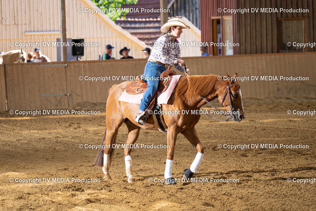 DSC00128 | dv-media-shop - Realisiert mit Pictrs.com