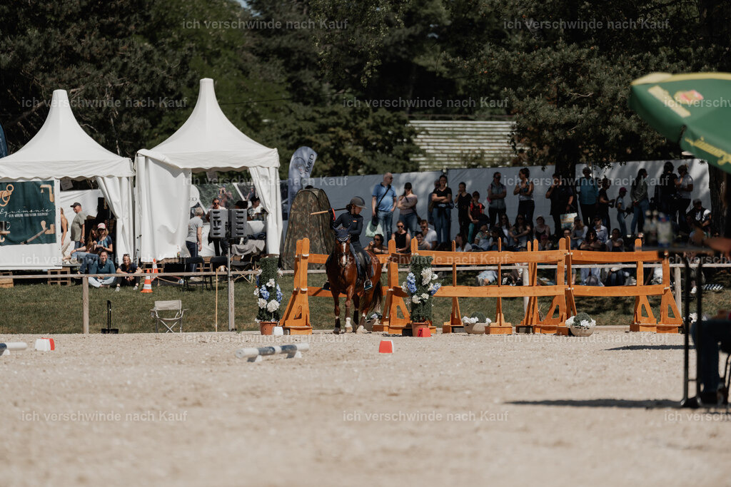 WE_ST_Stoib_342_PI2025_1420 | 330Pferd International München 2025