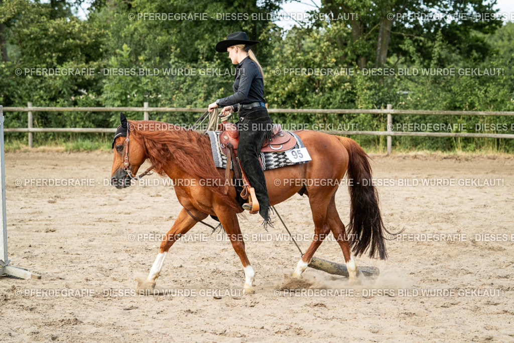 DSC06036 | Pferdegrafie