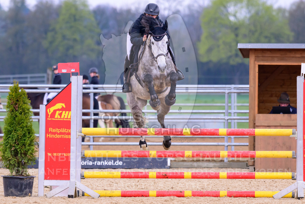 10042026-Mammendorf-Prfg16-0409 | Fokus Hufschlag Fotografie - Realisiert mit Pictrs.com