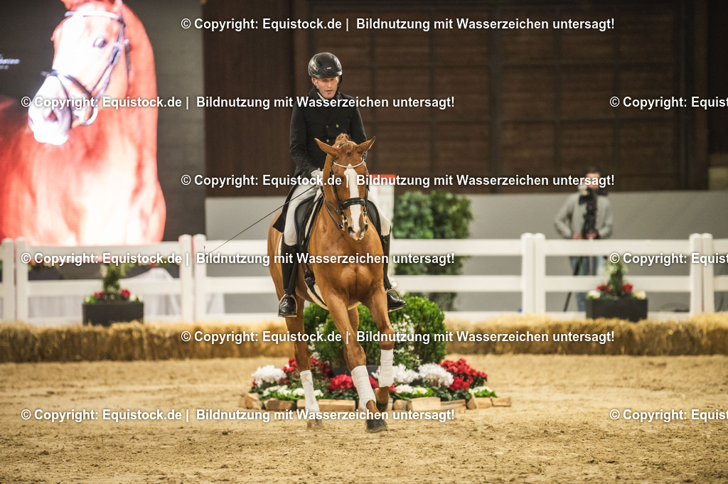 20240302_Hengstvorstellung_Marbach_TOMsPiC_0906 | equistock