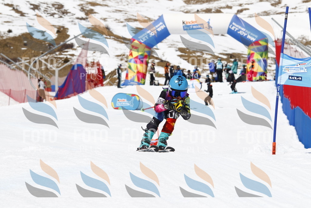 _U3G8367 | holidayphoto