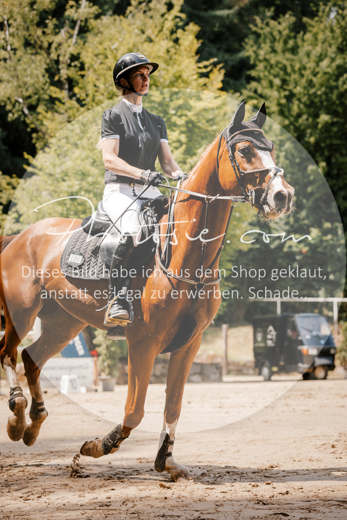 3I6A7959 | Stimmungsvolle Portraits und Reitsportfotografie im Ruhrgebiet und im Münsterland.

Pferdefotografie, Hundefotografie, Tierfotografie, Reportagen, Portraits von Tier und Mensch, Turnierfotografie in Bochum, Recklinghausen, Marl, Haltern am See, Dülmen.. - Realisiert mit Pictrs.com
