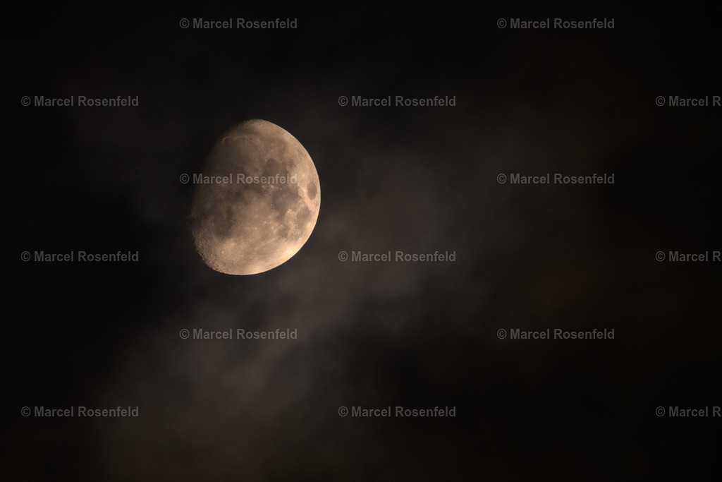 _DSC7691 (1) | foto-rosenfeld