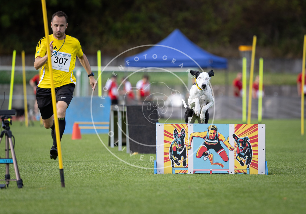 Pfotenfotografie_DV3A1623 | Hundefotografie, Tierfotograf, Pfotenfotografie, Fotoshooting Hund, Hunde Portrait, Hundesport, Hundeportraits, Heideshooting, Hunde, Sportfotograf, Hundefotograf, Turnierhundsport, THS,  - Realisiert mit Pictrs.com