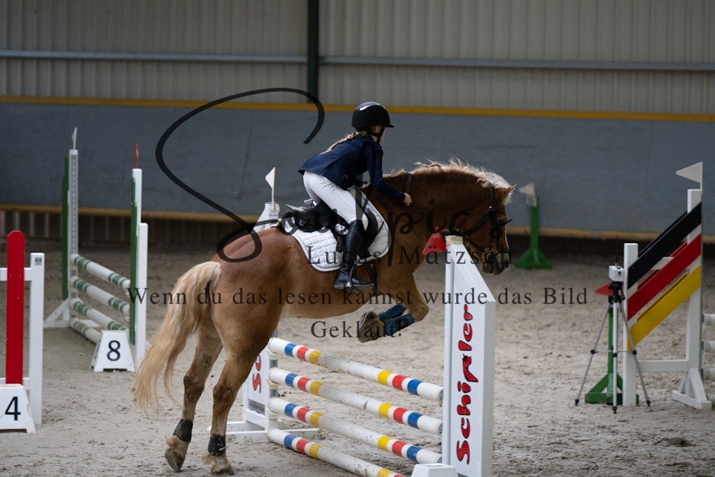 A7V00866 | Pferdefotograf