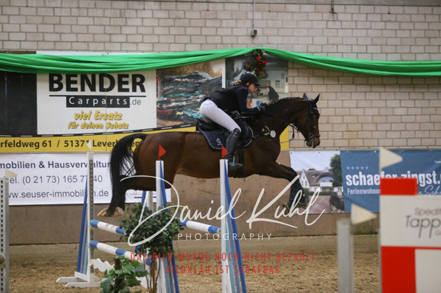 IMG_0691 | Turnierfotos kaufen im Webshop von Daniel Kuhl Photography – entdecke professionelle Reitsportfotos aus Turnieren & Events. Hochwertige Turnierbilder online bestellen & sichern. Jetzt Fotos von Reitsportturnieren kaufen!
