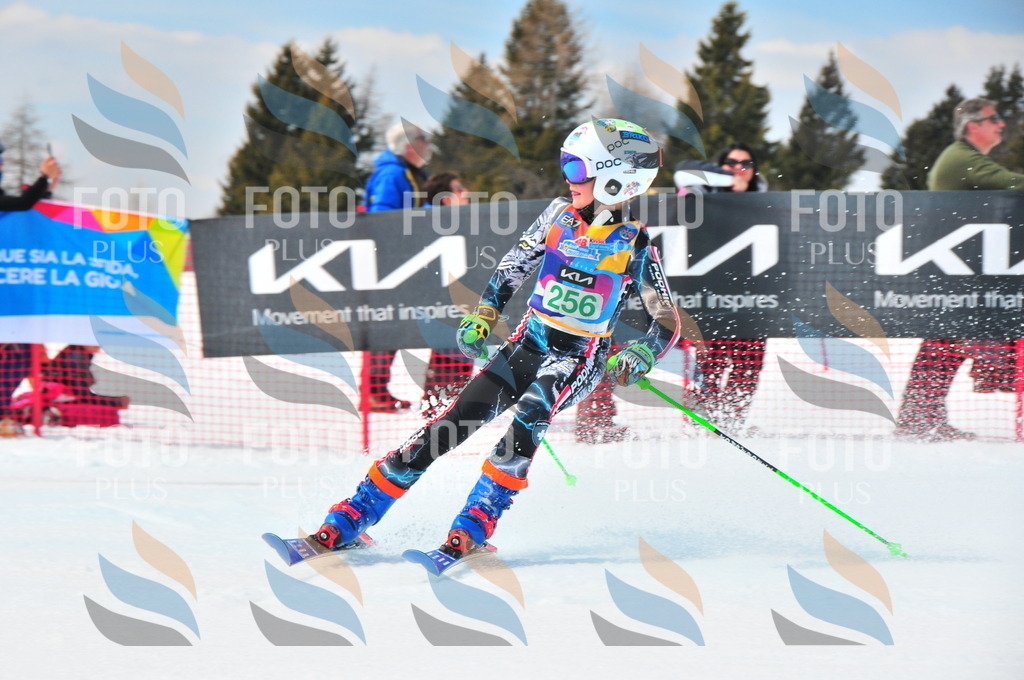 DSC_2379 | holidayphoto