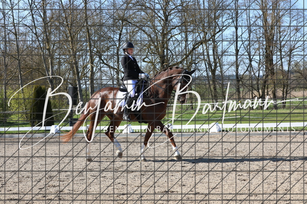 AZ2A6206 | Benjamin Bartmann Photomoments