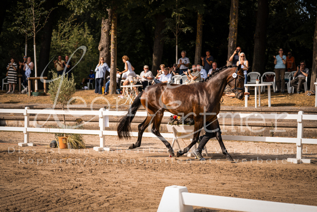 FrER00193 | Leoni Ertmer Photography - Realisiert mit Pictrs.com