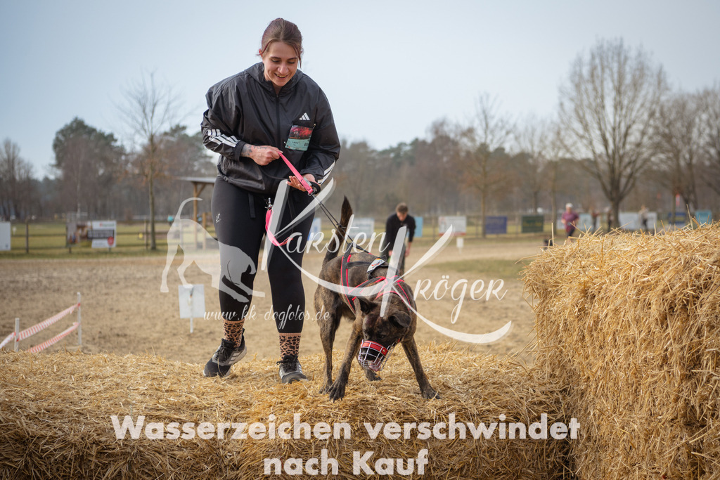 1047_ZZ99381 | kk-dogfotos