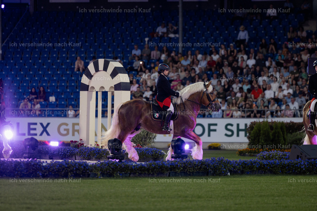 TSCHIO26_PferdundSinfonie_StoibphotographyTSCHIO26_Pferd-Sinfonie_Stoibphotography_AM11439.CR3.jpg | working equitationturnier fotograf videograf stoibphotography marixx film working equitation deutschland reitsport turnierfotografie eventfotografie equestrian events