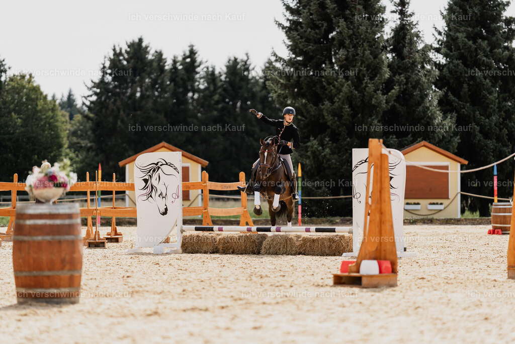 Virginie12FHC2025-01702 | working equitationturnier fotograf videograf stoibphotography marixx film working equitation deutschland reitsport turnierfotografie eventfotografie equestrian events