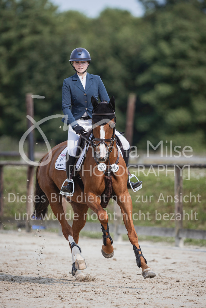 240627_LüPfSpTa_SprPf-M-204 | Deine schönsten Turniermomente als professionelle Fotos! Entdecke hochwertige Pferdesport-Fotografie im Online-Shop. Jetzt Fotos finden & bestellen!