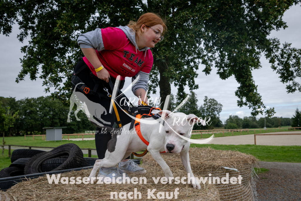 1223_ZZ90437 | kk-dogfotos