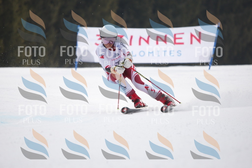 D4591 | holidayphoto