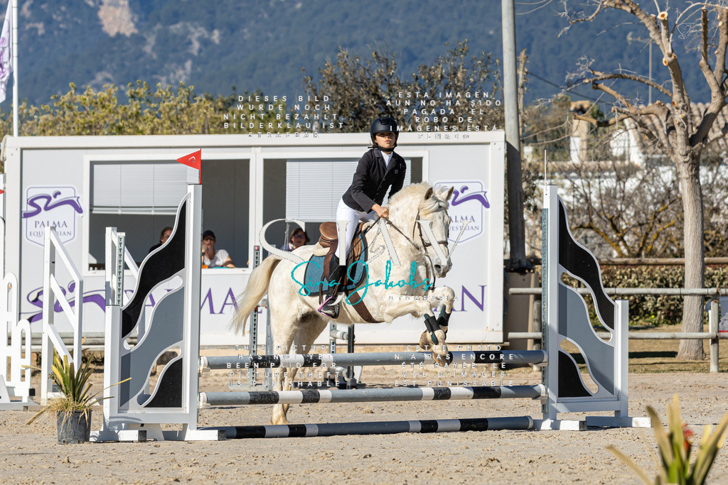 IMG_8539 | s-jay-photography - Realisiert mit Pictrs.com