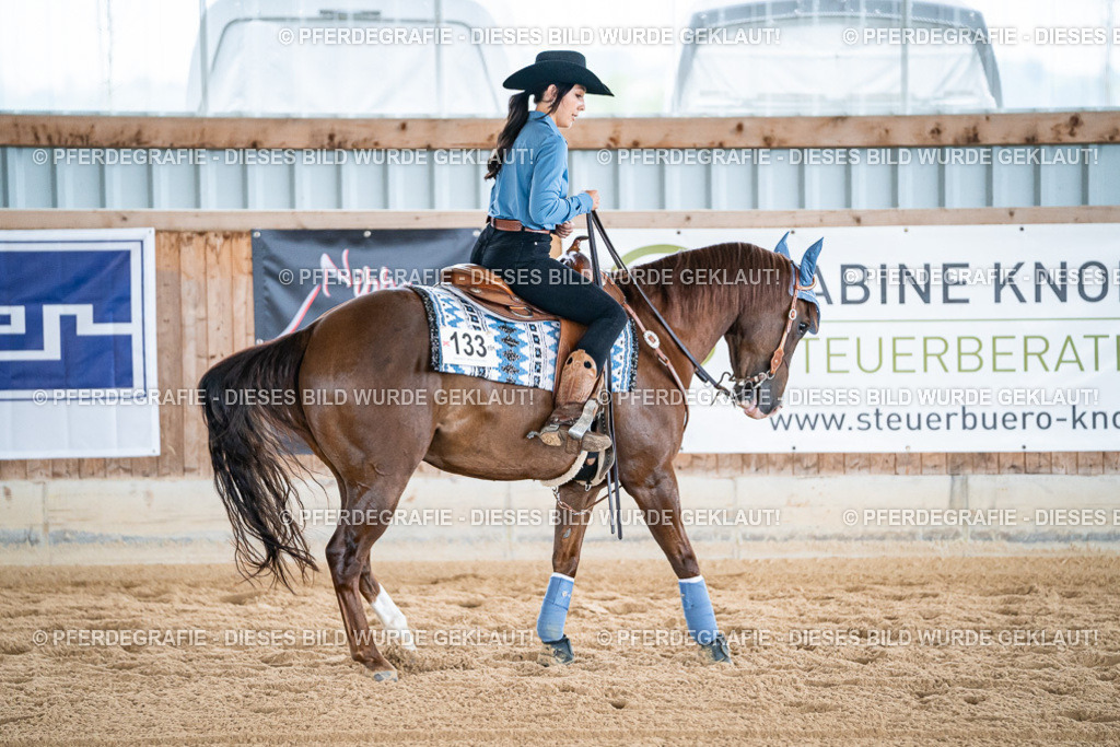 DSC08638 | Pferdegrafie