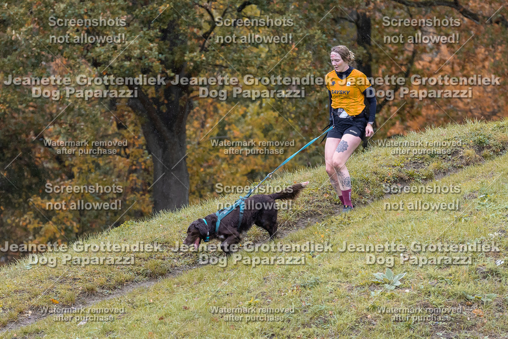 Dog Paparazzi - SD CaniX Championship 2025-800 | Dog Paparazzi Jeanette Grottendiek Fotografie & Videografie - Realisiert mit Pictrs.com