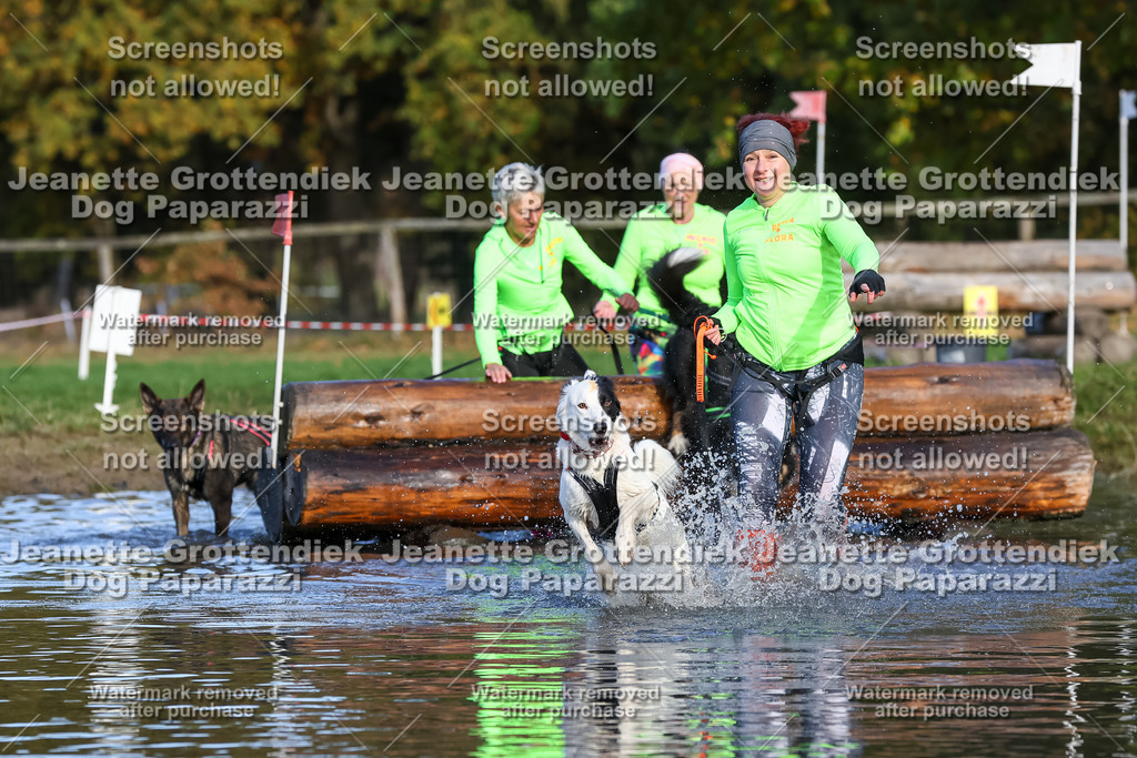 Dog Paparazzi - Strongdog 10-25-8500 | Dog Paparazzi Jeanette Grottendiek Fotografie & Videografie