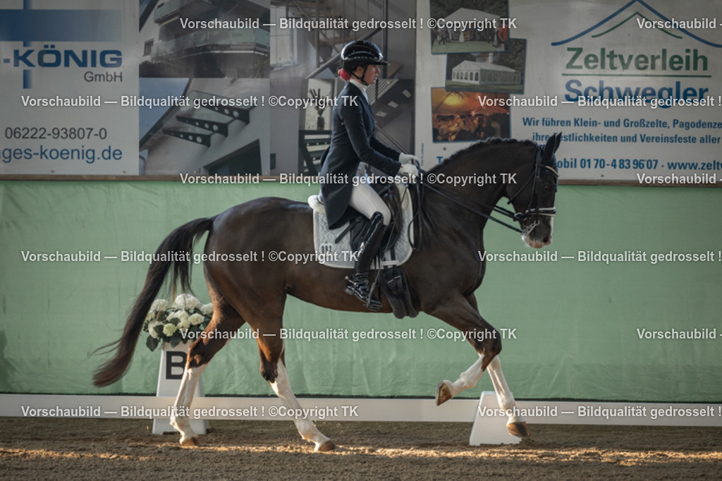 _D5A7822 | Emotionale Pferde- & People-Fotografie rund um Heidelberg, Leimen & Umgebung. Natürliche Fotos von Pferd, Mensch & Familie. Jetzt Termin sichern!