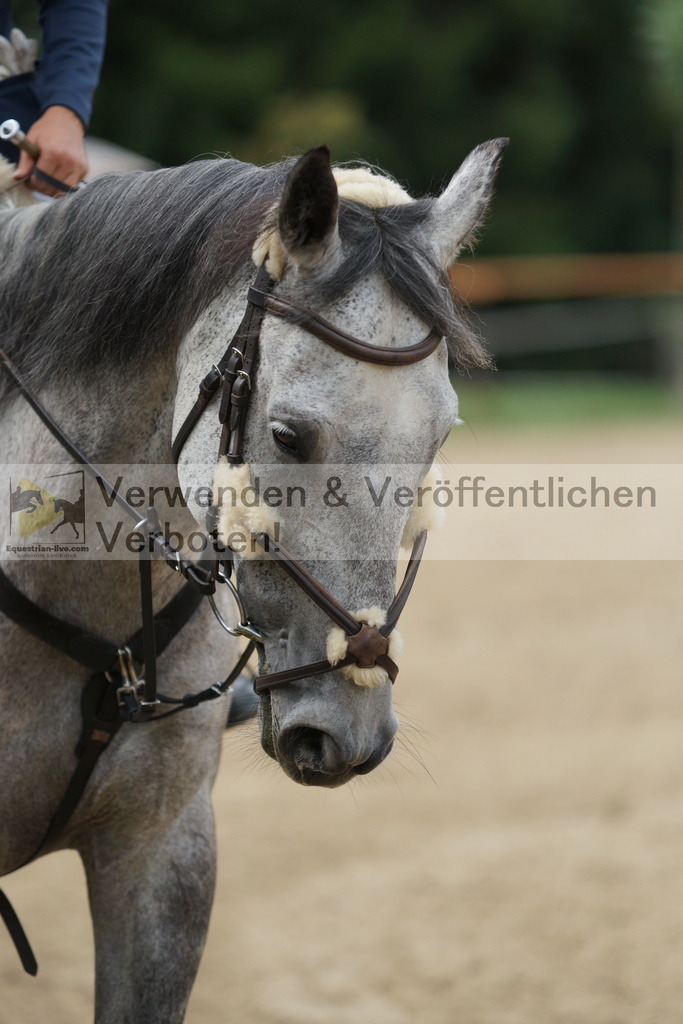 DSC06363 | equestrian-live-com