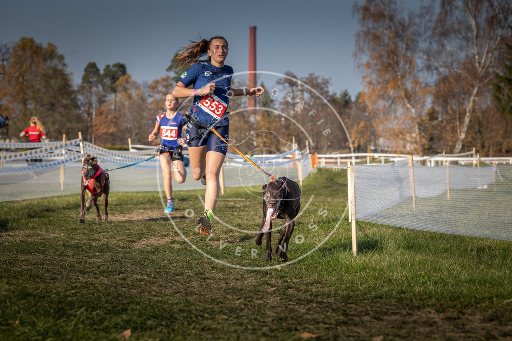 CaniXpix_0L8A9084 | Hundefotografie, Tierfotograf, Pfotenfotografie, Fotoshooting Hund, Hunde Portrait, Hundesport, Hundeportraits, Heideshooting, Hunde, Sportfotograf, Hundefotograf, Turnierhundsport, THS,  - Realisiert mit Pictrs.com