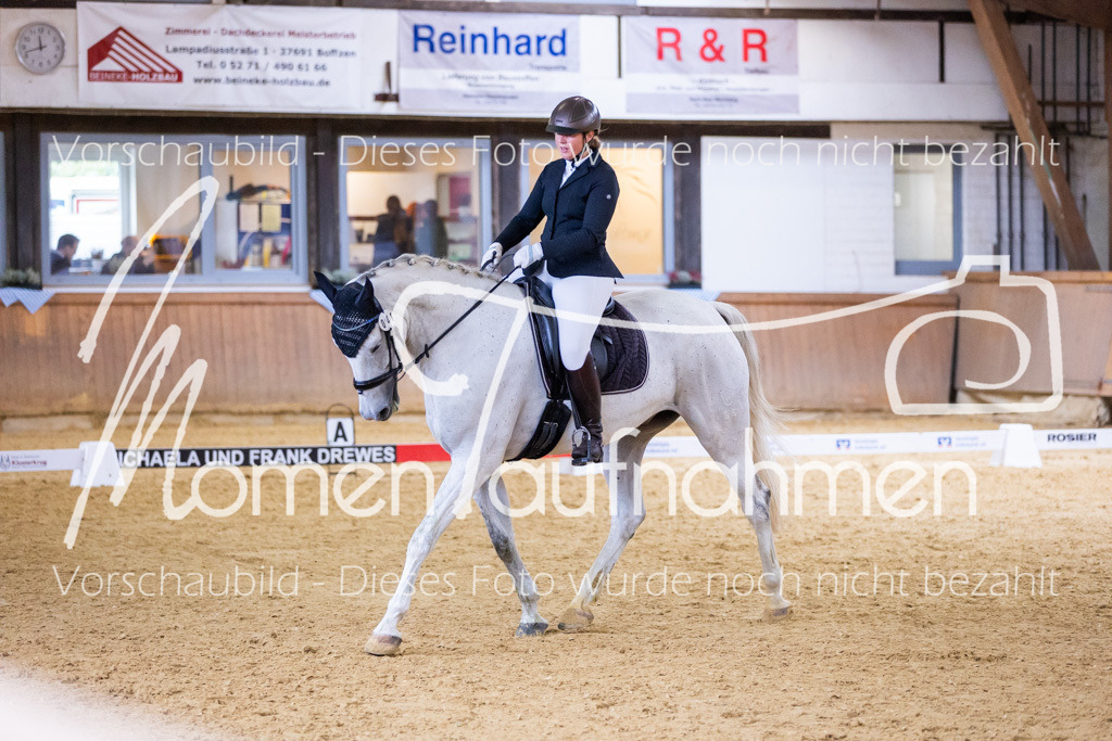 Sth-A-Dre-2St-084 | MomenTaufnahmen Pferdesportfotos