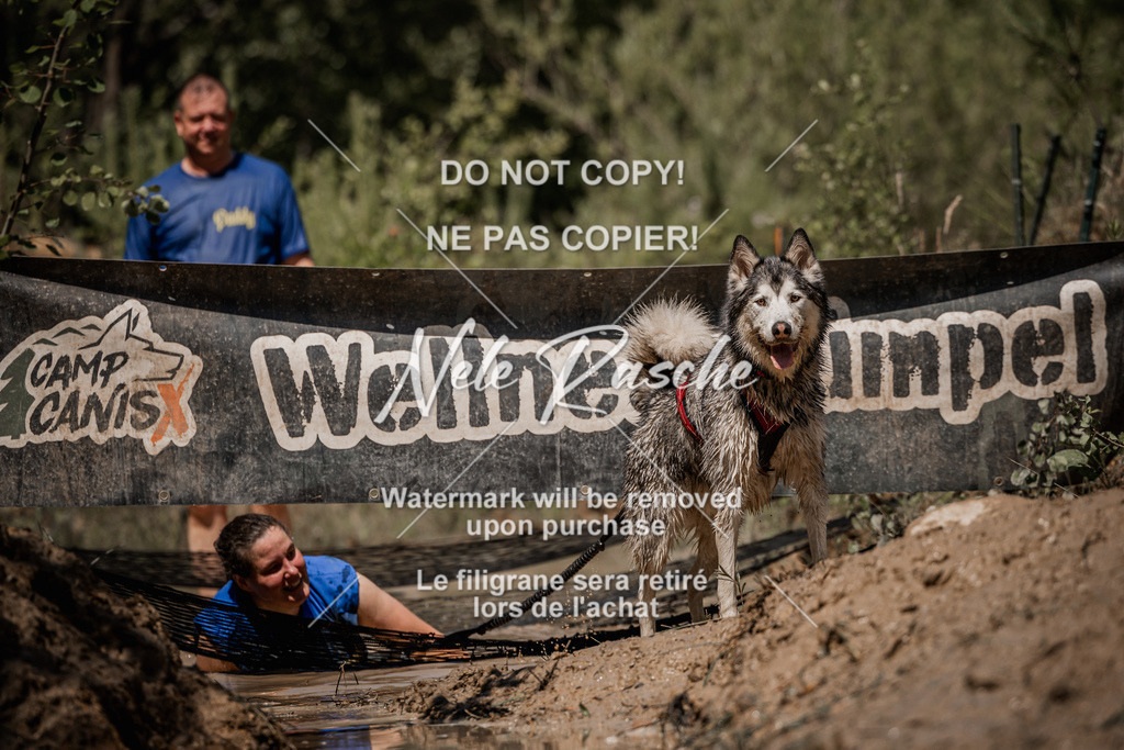 nelerasche_Hoope2026_Sa1330-1400_280 | nelerasche