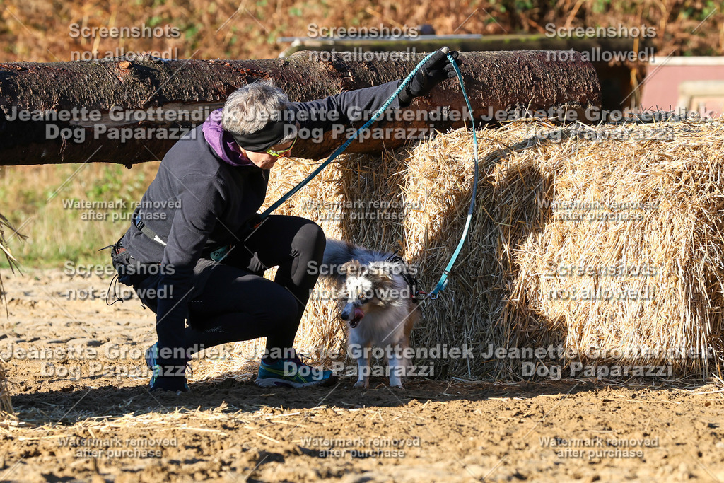 Dog Paparazzi - Strongdog 10-25-1203 | Dog Paparazzi Jeanette Grottendiek Fotografie & Videografie - Realisiert mit Pictrs.com